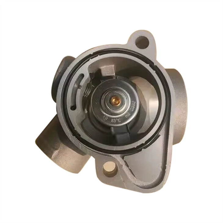 04198791R Deutz BFM1013 Termostat Assy